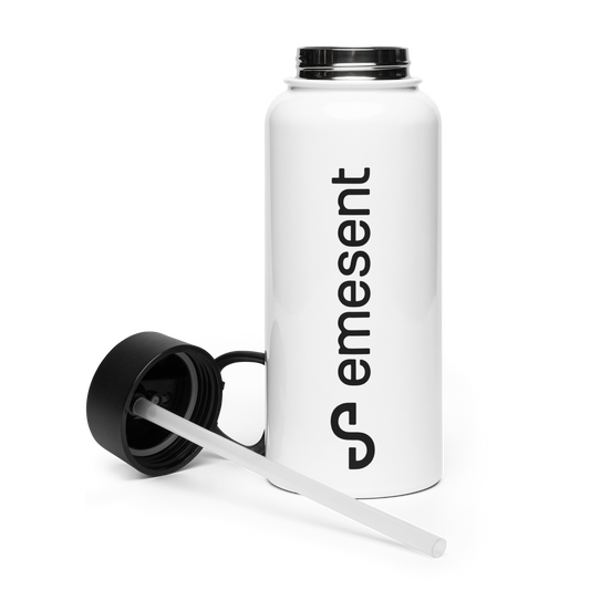 Stainless steel water bottle with a straw lid